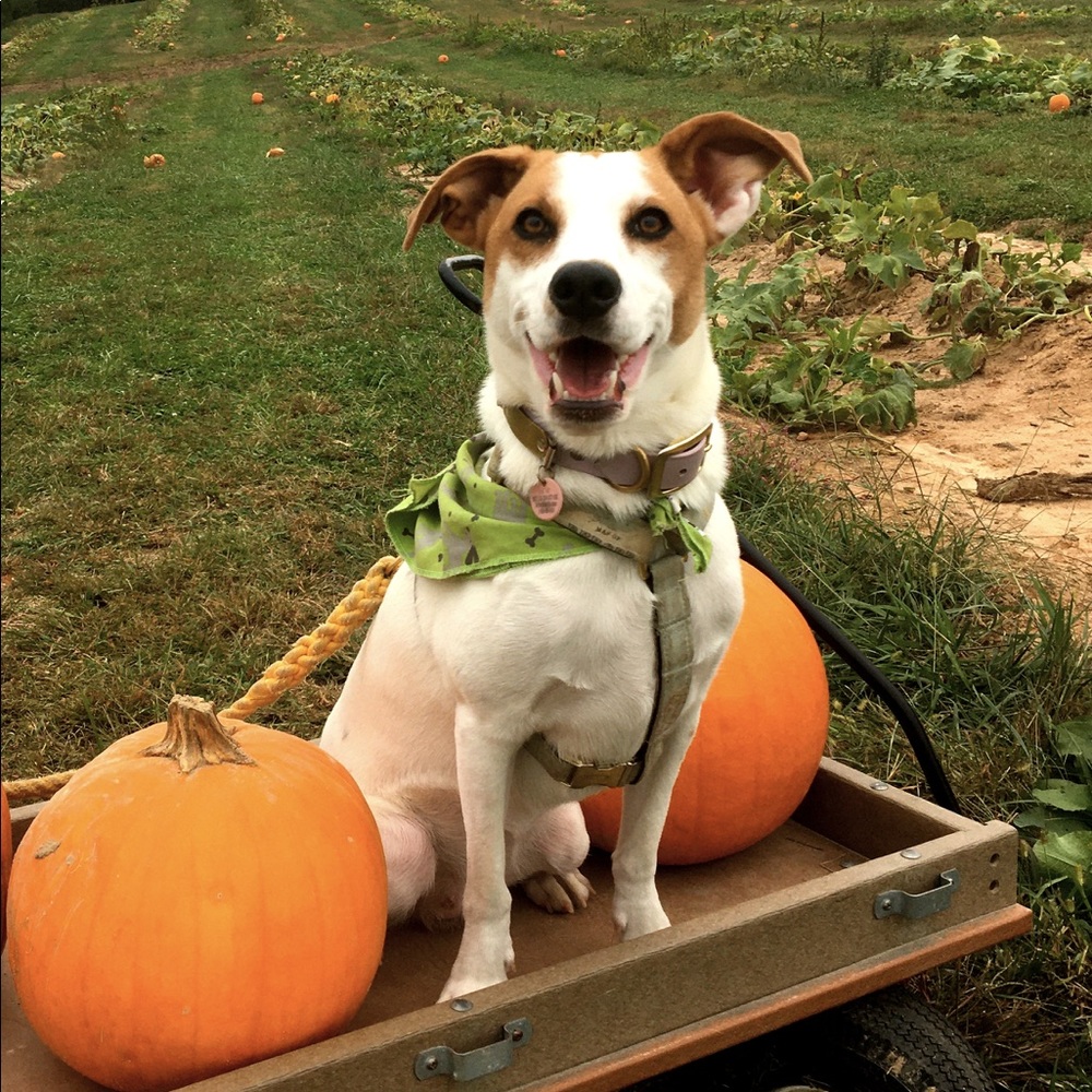 Meet your Posher, Taylor